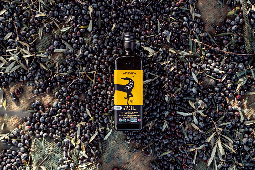 HOW WE MAKE TERRA DELYSSA OLIVE OILS