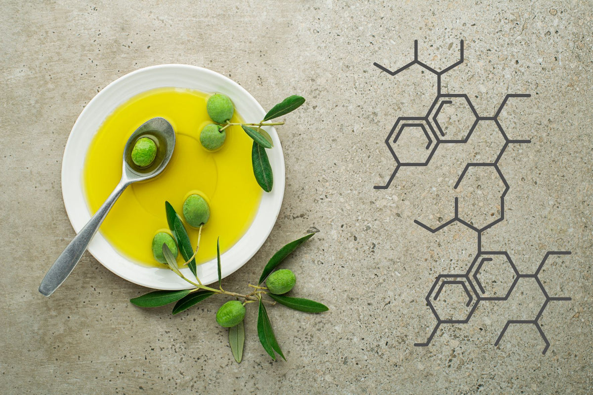 What You Need to Know About Polyphenols in Extra Virgin Olive Oil ...