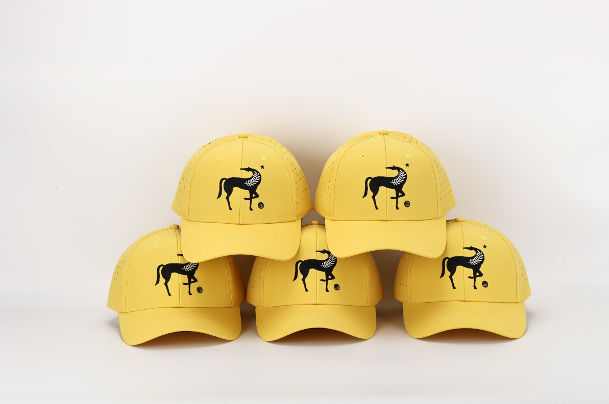 Terra Delyssa Logo Hat