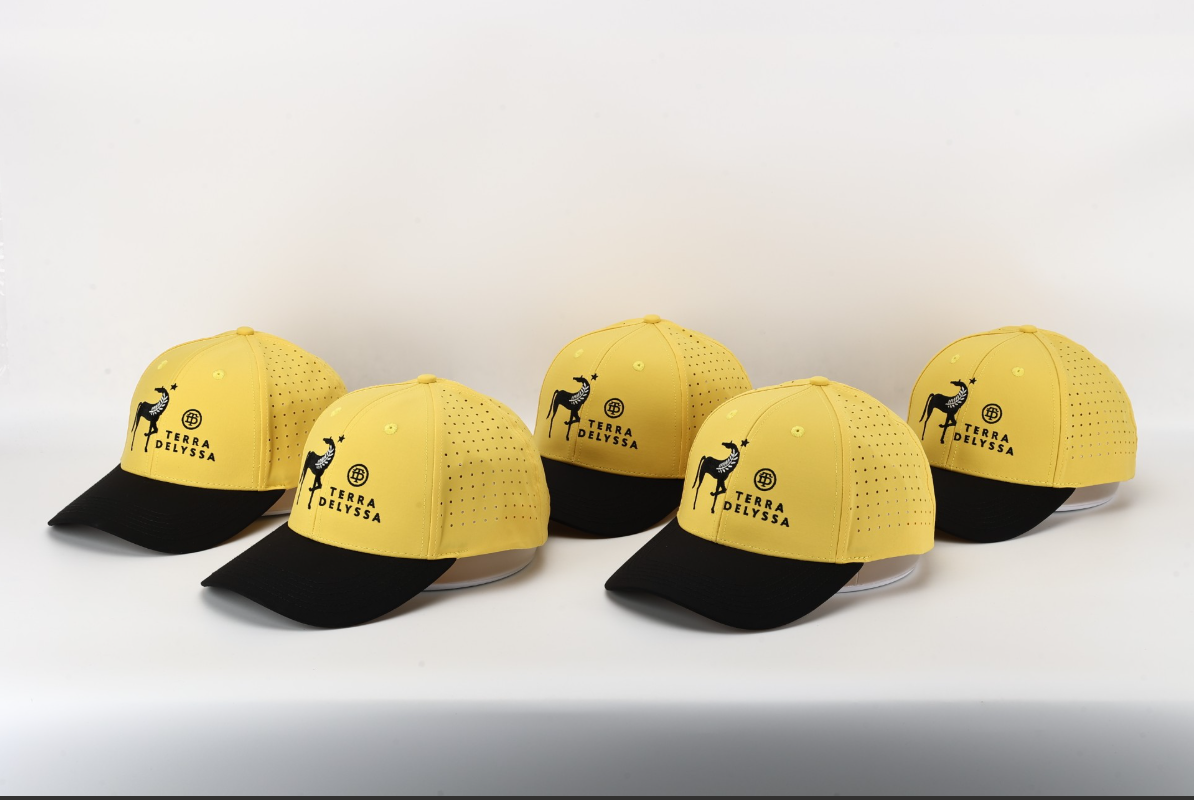 
                  
                    Terra Delyssa Logo Hat
                  
                