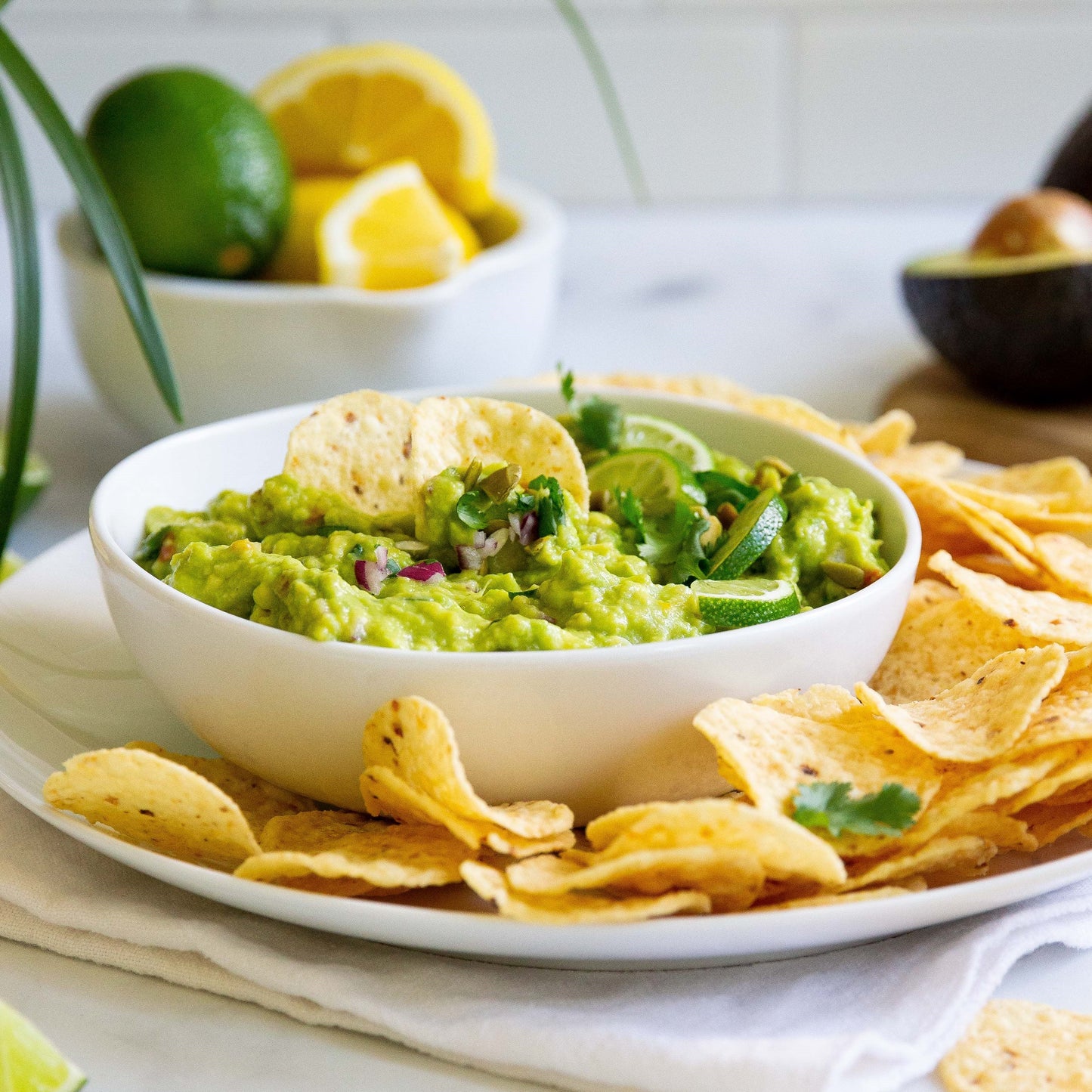 
                  
                    Guacamole HOVE
                  
                