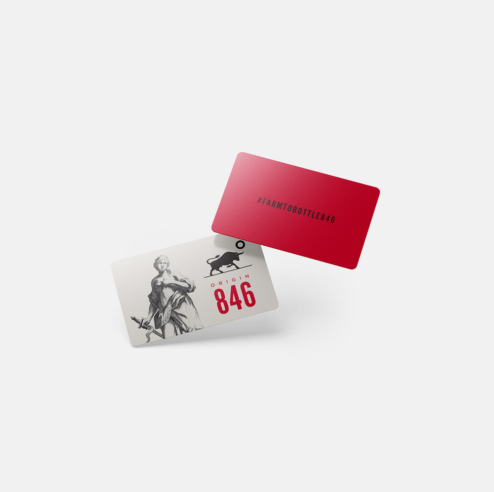 Origin 846 Store Digital Gift Card
